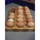 Egg Holder & Organiser  (Large) Holds up to x 21 eggs)